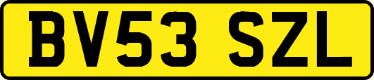 BV53SZL
