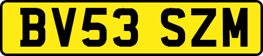 BV53SZM