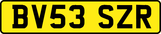 BV53SZR