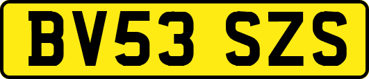 BV53SZS
