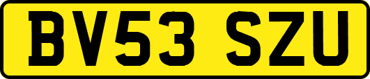 BV53SZU