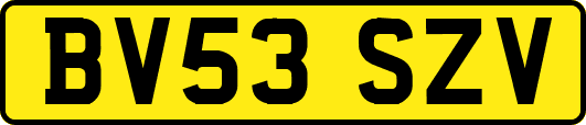 BV53SZV