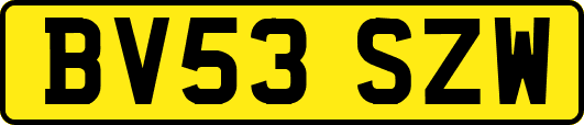 BV53SZW