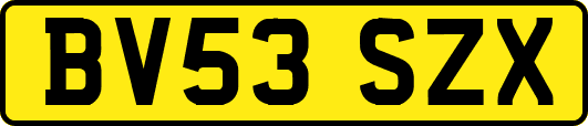 BV53SZX
