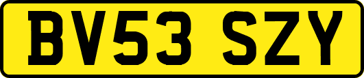 BV53SZY