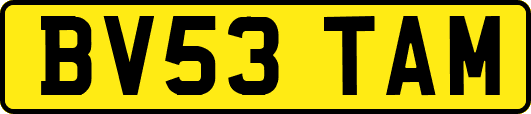BV53TAM