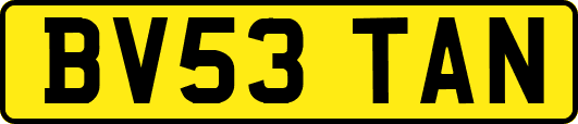 BV53TAN