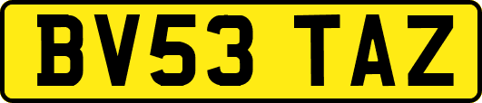 BV53TAZ