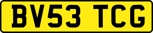 BV53TCG
