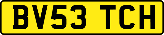 BV53TCH