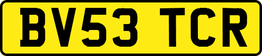 BV53TCR