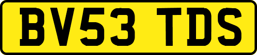 BV53TDS