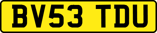 BV53TDU