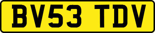 BV53TDV