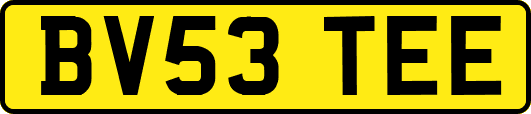 BV53TEE