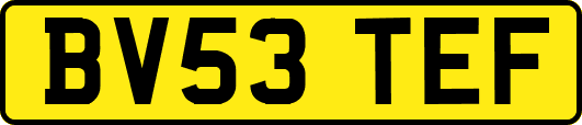 BV53TEF