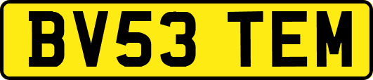 BV53TEM