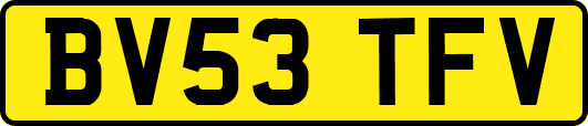BV53TFV