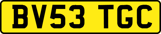 BV53TGC
