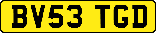BV53TGD