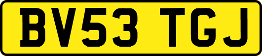 BV53TGJ