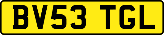 BV53TGL