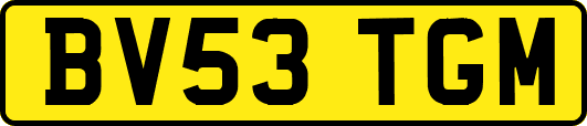 BV53TGM
