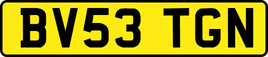 BV53TGN