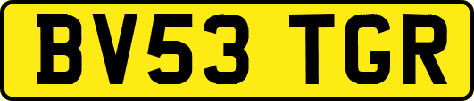 BV53TGR