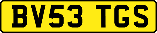 BV53TGS