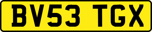 BV53TGX
