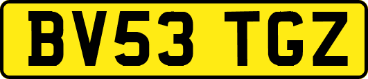 BV53TGZ
