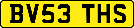 BV53THS