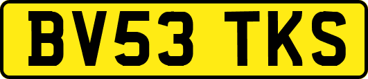 BV53TKS