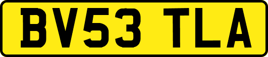 BV53TLA