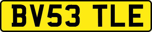 BV53TLE