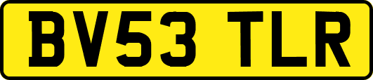 BV53TLR
