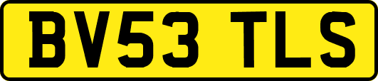 BV53TLS