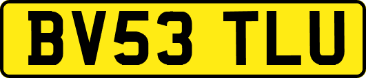 BV53TLU