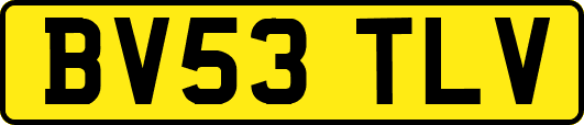 BV53TLV