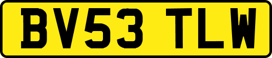 BV53TLW
