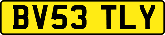 BV53TLY