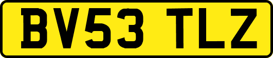 BV53TLZ