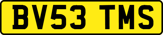 BV53TMS