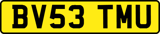 BV53TMU