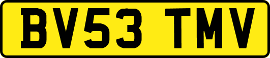 BV53TMV