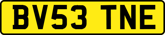 BV53TNE