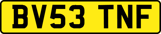 BV53TNF