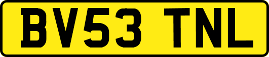 BV53TNL