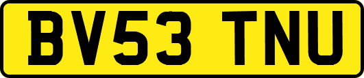 BV53TNU